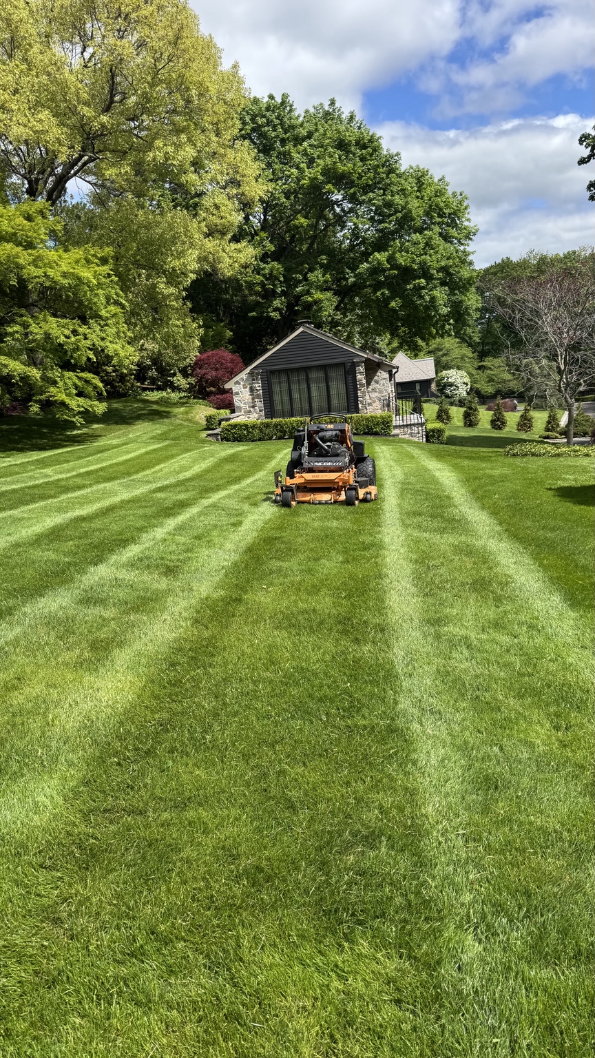 Professionally maintained lawn