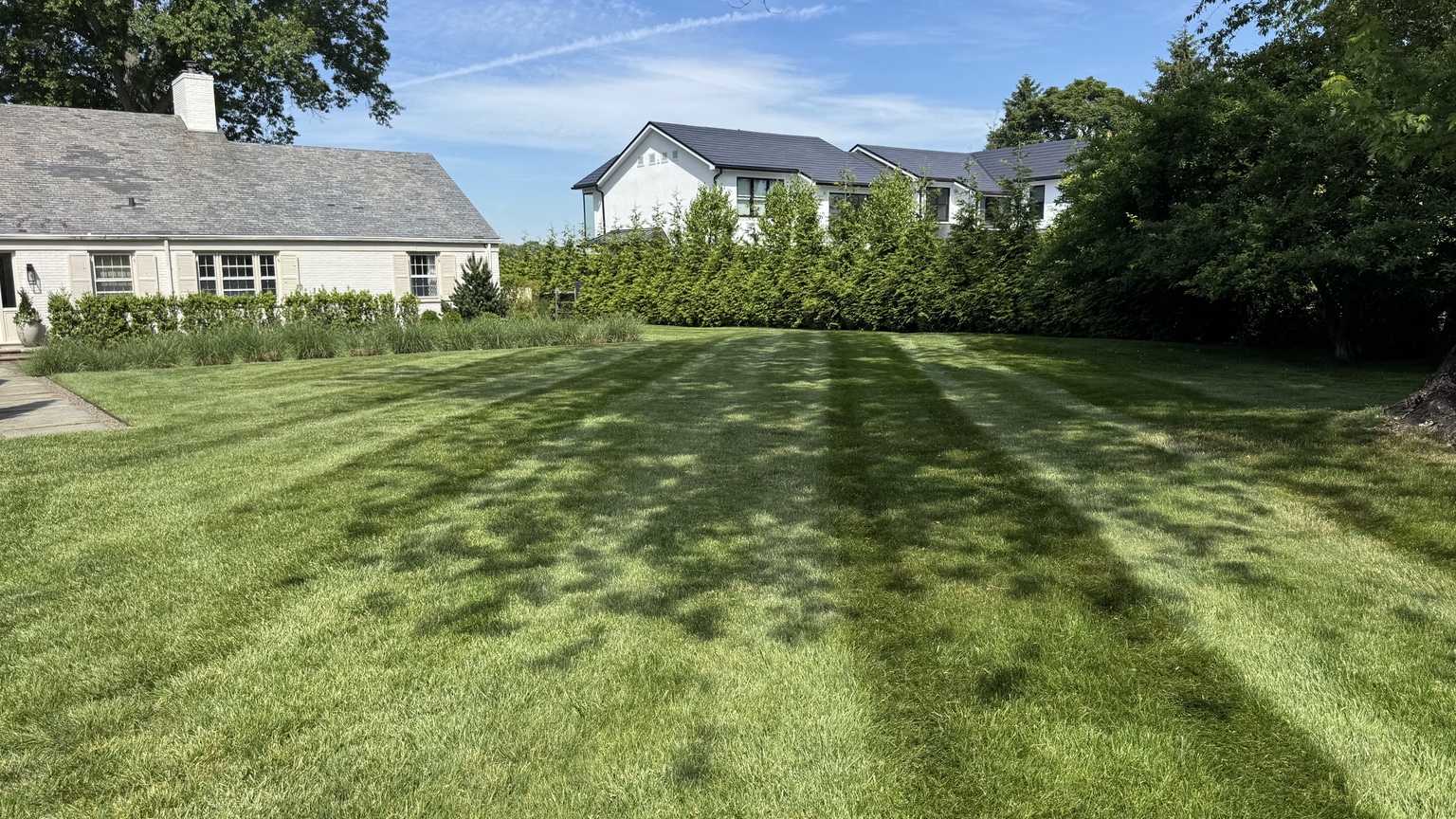 Lawn maintenance