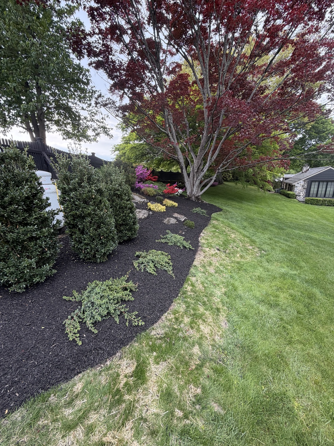 Mulched landscape bed